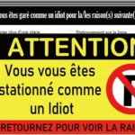 100 Pack French-Inspired ‘Moron Parking’ Prank Cards | 2×3.5 Funny Violation Notes with Hilarious Reasons Perfect for Office