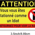100 Pack French-Inspired ‘Moron Parking’ Prank Cards | 2×3.5 Funny Violation Notes with Hilarious Reasons Perfect for Office